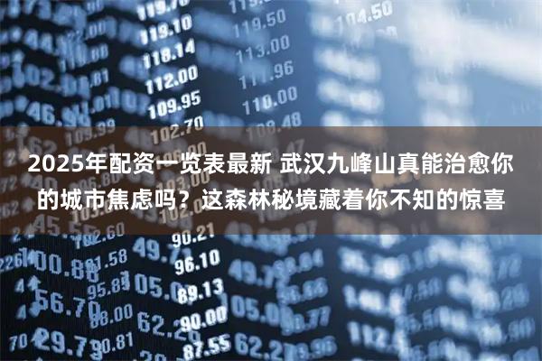 2025年配资一览表最新 武汉九峰山真能治愈你的城市焦虑吗？这森林秘境藏着你不知的惊喜