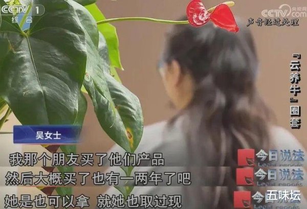 配资炒股首选网站 “云养牛”投资骗局曝光: 百万元理财款变冻肉, 主谋8年吸金5亿